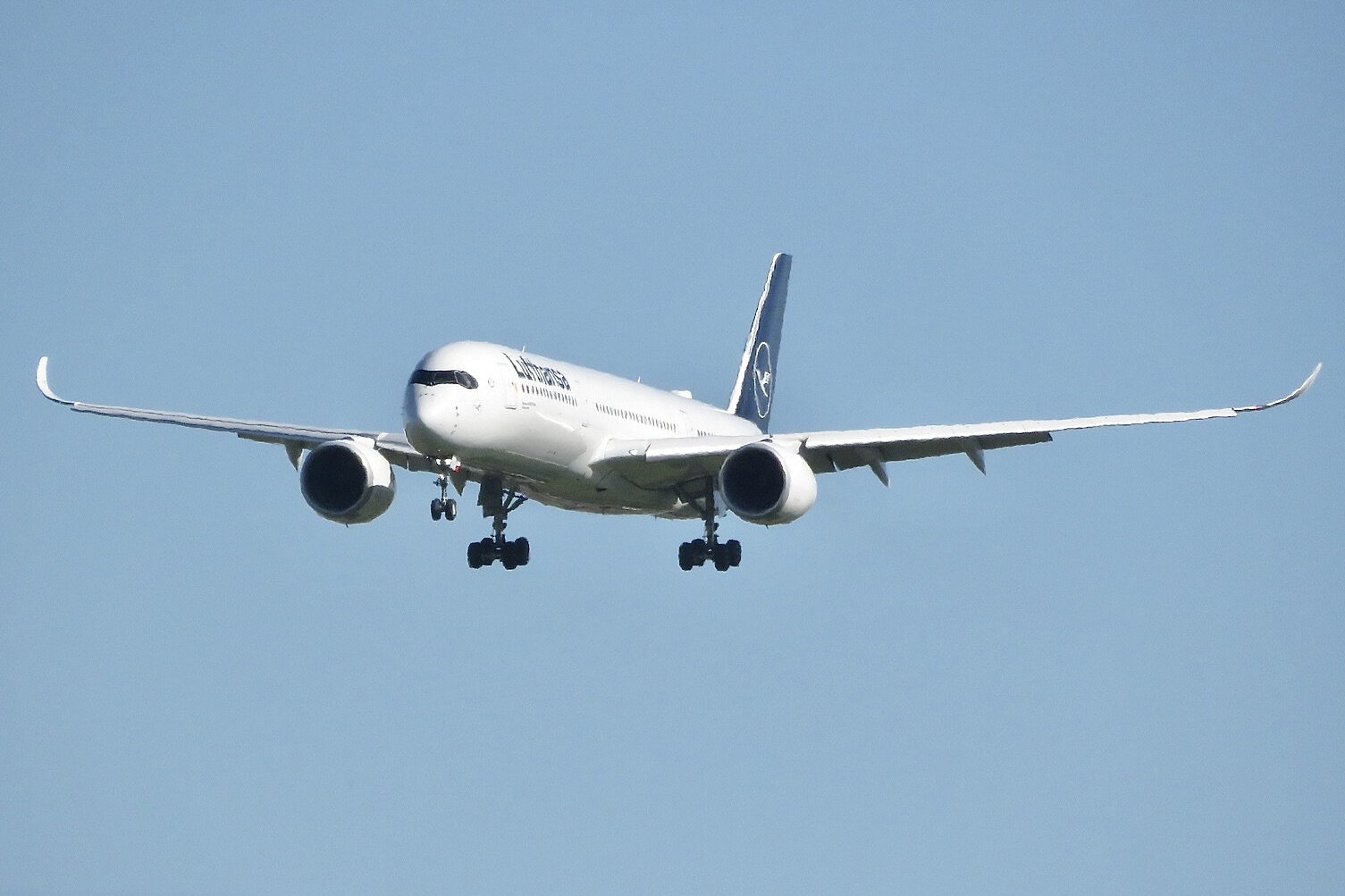 Lufthansa planeja retomar rota entre Guarulhos e Munique